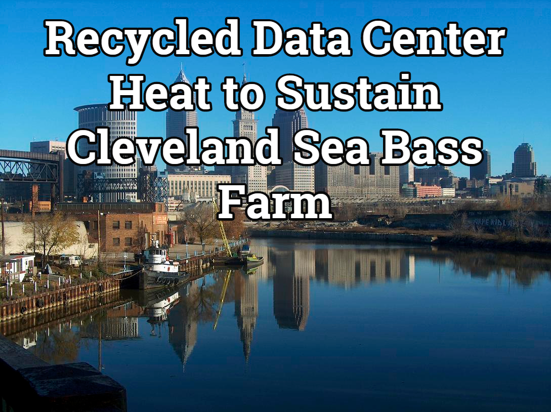 Recycled Data Center Heat to Sustain Cleveland Sea Bass Farm