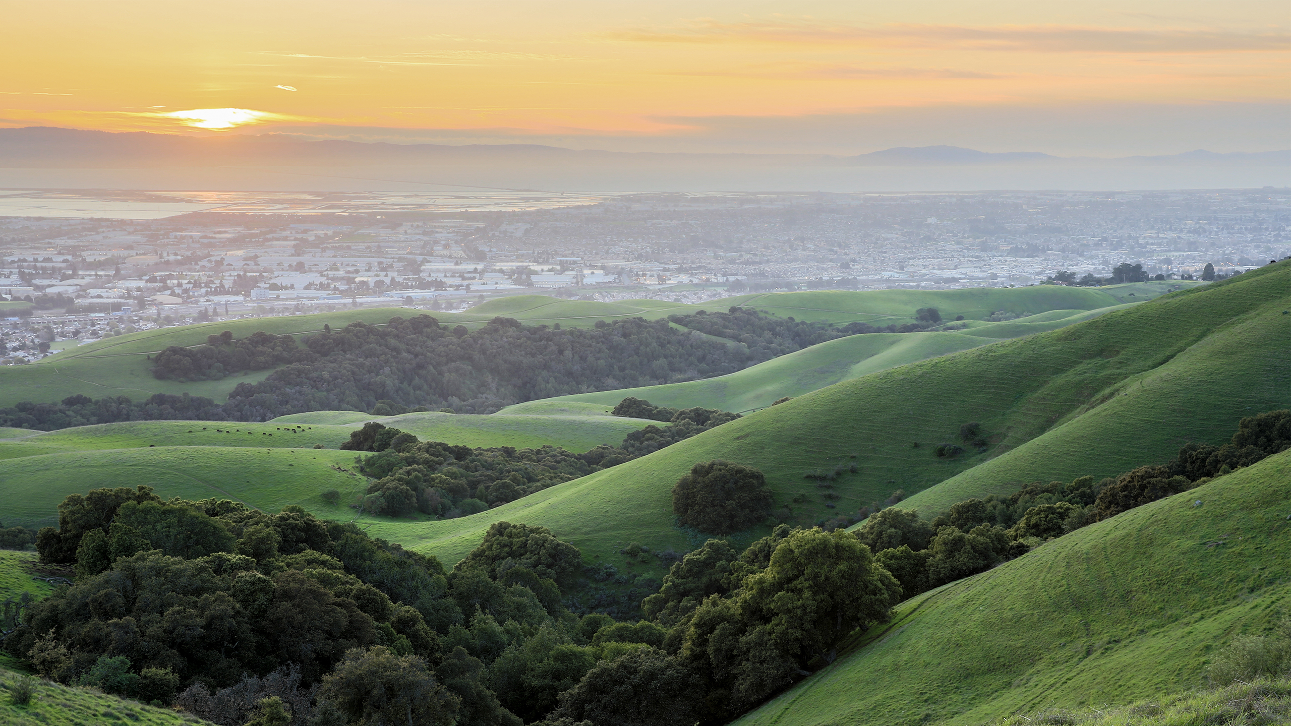 mission hills silicon valley